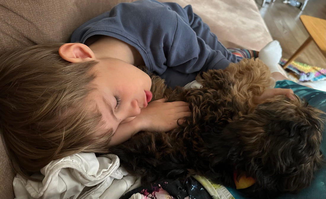 The Anchor in Our Storm - How a Therapy Dog Changed Our Neurodivergent Family’s Life