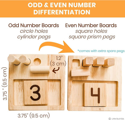 LITTLE BUD KIDS Counting Pegs